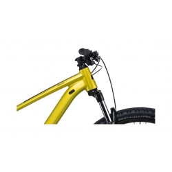 Cubo Analógico - 2022 - 29 pulgadas - Diamante