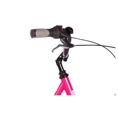 Passat Livorno - 2022 - 28 pulgadas - doble tubo