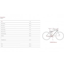 Raymon FourRay 1.0 - 2024 - 24 pulgadas - Diamante