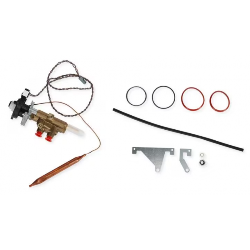 Juego de válvulas de seguridad de encendido - Repuesto Truma