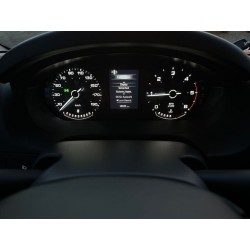 Dethleffs Pulse T 7051