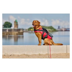 Correa flotante para perros Wolters watchout roja tamaño L 600x0,8 cm