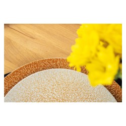 Juego de 2 platos llanos magnéticos naranja Silwy