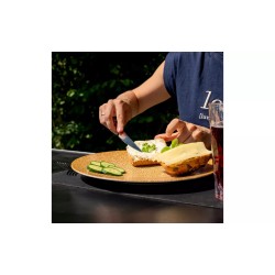 Juego de 2 platos llanos magnéticos naranja Silwy