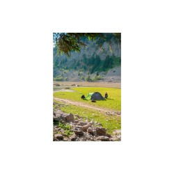 Coleman Pingora 3 BlackOut Dome Karpfen