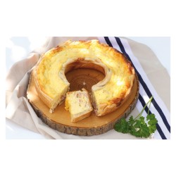 Horno de Camping Omnia