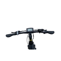 Vélo électrique Llobe 28 pouces Yukon Lady 13,2 Ah