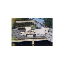 Grille de charbon sans...