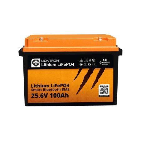 Liontron LiFeP04 Smart BMS batteria al litio 25.6 V/100 Ah