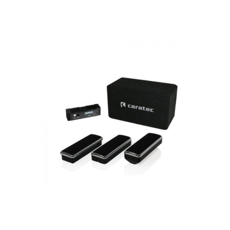 Sistema audio Caratec Audio CAS205 per camper completamente integrati