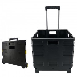 carrello della spesa...