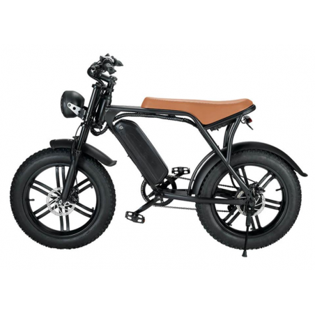 Bicicleta EZ-ZM21