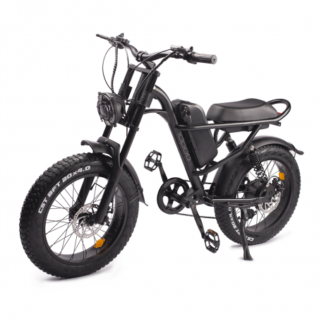 Bicicleta EZ-Q20