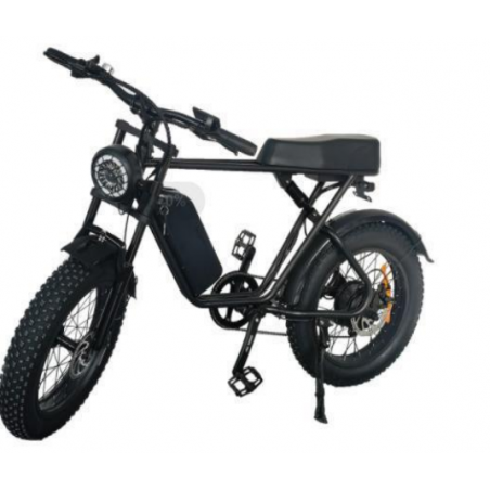 Bicicleta EZ-C91