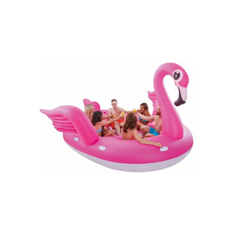 Gente Feliz Bañándose Isla Flamingo