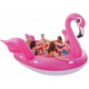 Gente Feliz Bañándose Isla Flamingo