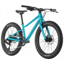 BMC Bicicleta de Montaña Niño 20" - TWOSTROKE AL 20 - 2023 - turquoise & black
