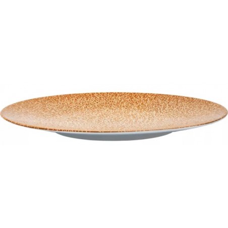 116 Juego de 2 platos llanos magnéticos Silwy APRICOT